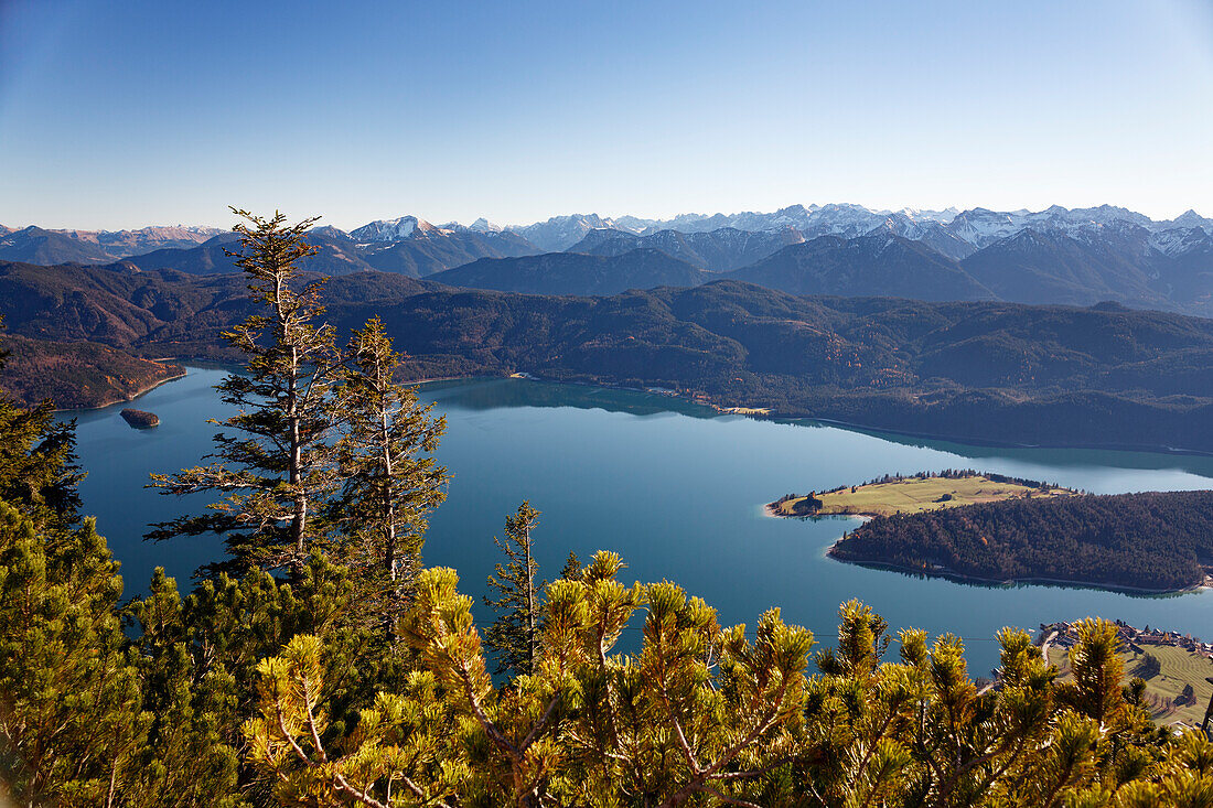 Walchensee, view from Herzogstand, Bavarian Prealps, Alps, Upper Bavaria, Germany