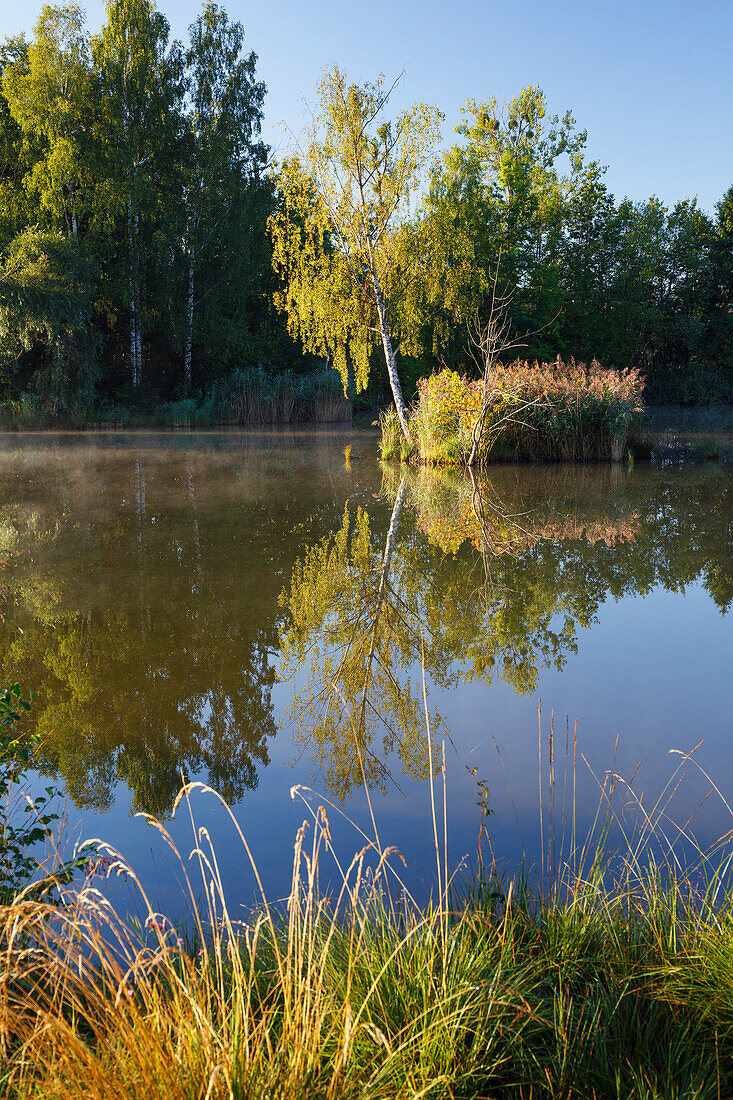 Weiher im Morgenlicht, Oberbayern, Deutschland, Europa