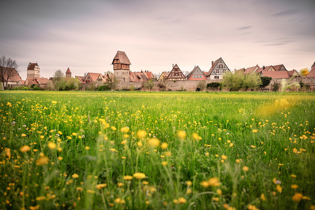 Bäuerlinsturm, Altstadt, Dinkelsbühl an der Wörnitz, Romantische Straße, Landkreis Ansbach, Mittelfranken, Bayern, Deutschland