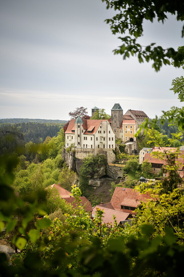 Blick auf die Burg von Hohnstein, Hohnstein, Landstadt in Sachsen, Landkreis Sächsische Schweiz-Osterzgebirge, Sachsen, Deutschland, Europa