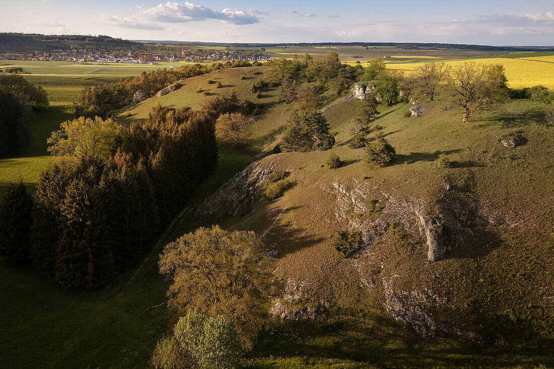 the Laushalde (landscape protection area) near Langenau with a view to Hörvelsingen, Baden-Württemberg, Germany, aerial photograph