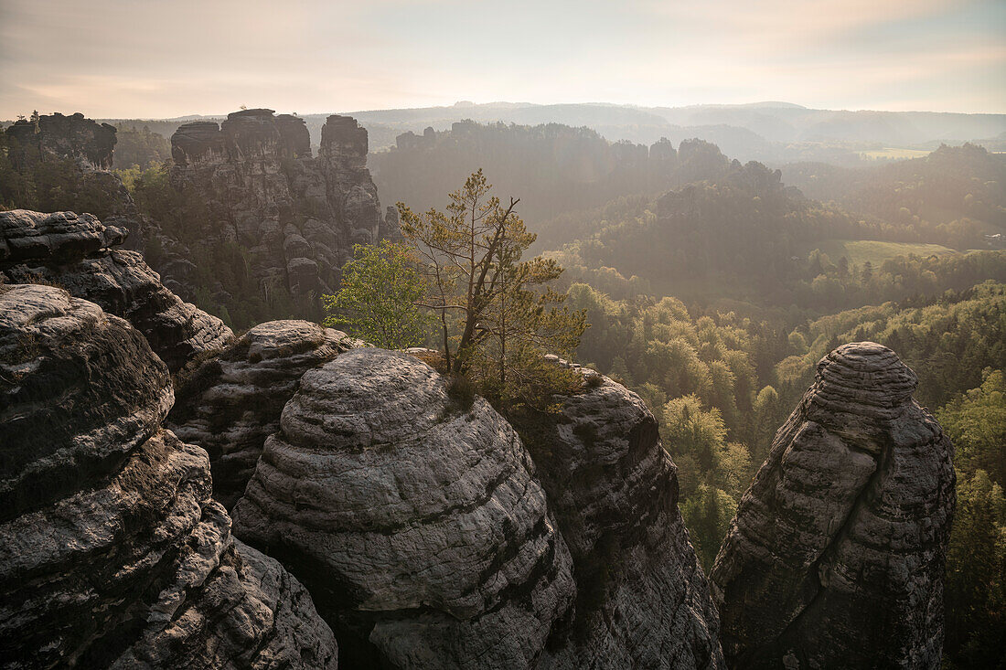 Ausblick von Felsenburg Neurathen, Sächsische Schweiz, Elbsandsteingebirge, Sachsen, Deutschland