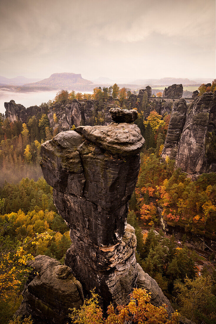 Wehlnadel with Bastei bridge and the Lilienstein table mountain in the sea of fog, Saxon Switzerland, Elbe Sandstone Mountains, Saxony, Elbe, Germany, Europe