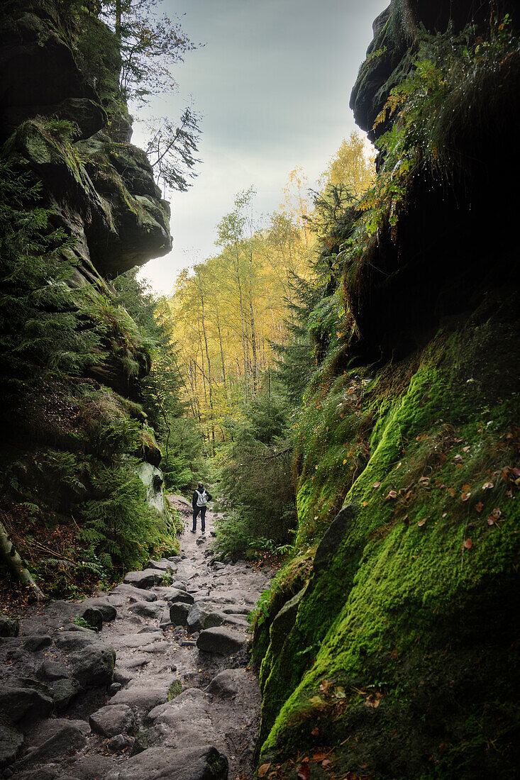 Woman (hiker) crosses rocky gorge of the so-called Wild Hell. Saxon Switzerland, Elbe Sandstone Mountains, Saxony, Elbe, Germany, Europe