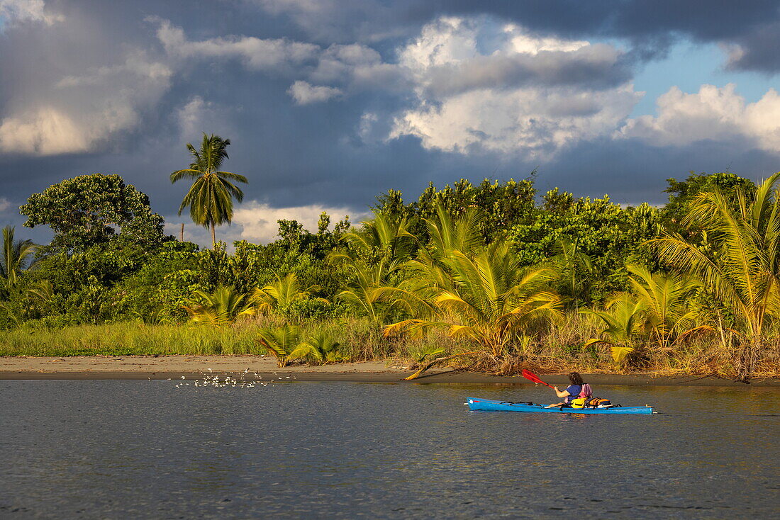 Sea kayak excursion for passengers of expedition cruise ship World Voyager (nicko cruises), Puerto Jiménez, Puntarenas, Costa Rica, Central America