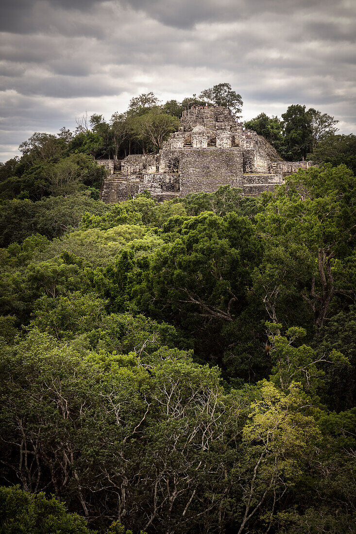 Verfallene Maya Pyramiden Tempel im dichten Urwald von Calakmul, Yucatán, Mexiko, Nordamerika, Lateinamerika, Amerika