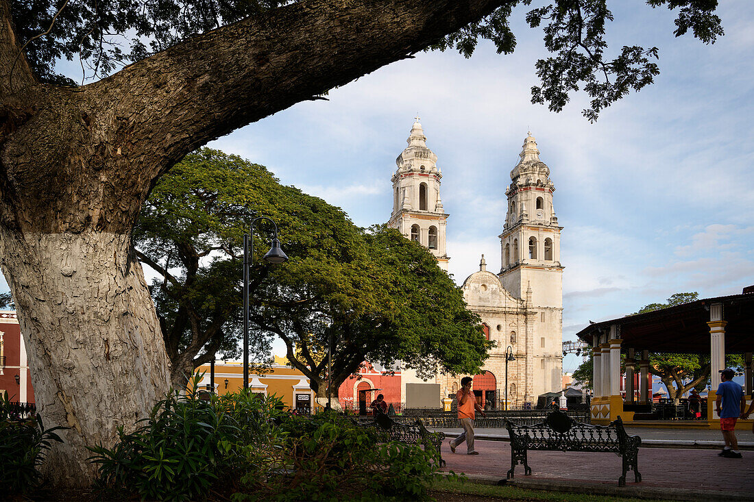 Blick zur Kathedrale 'Catedral de Nuestra Señora de la Inmaculada Concepción', San Francisco de Campeche, Yucatán, Mexiko, Nordamerika, Lateinamerika, Amerika
