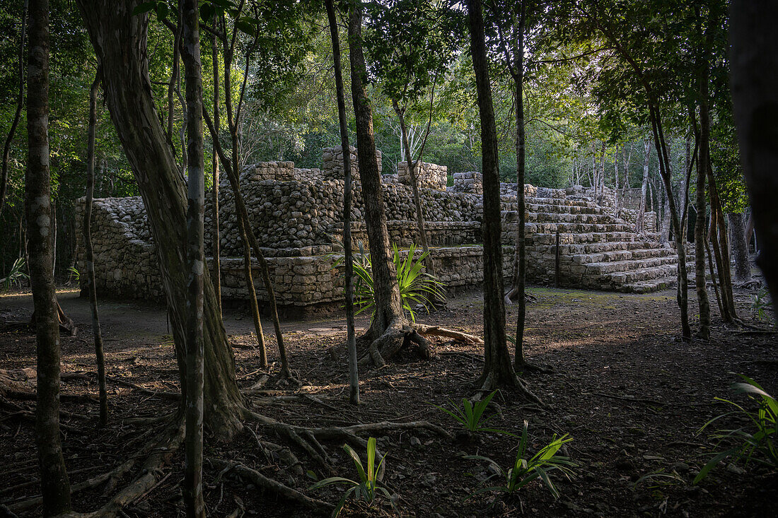 Maya ruined city of Cobá, Yucatán, Mexico, North America, Latin America