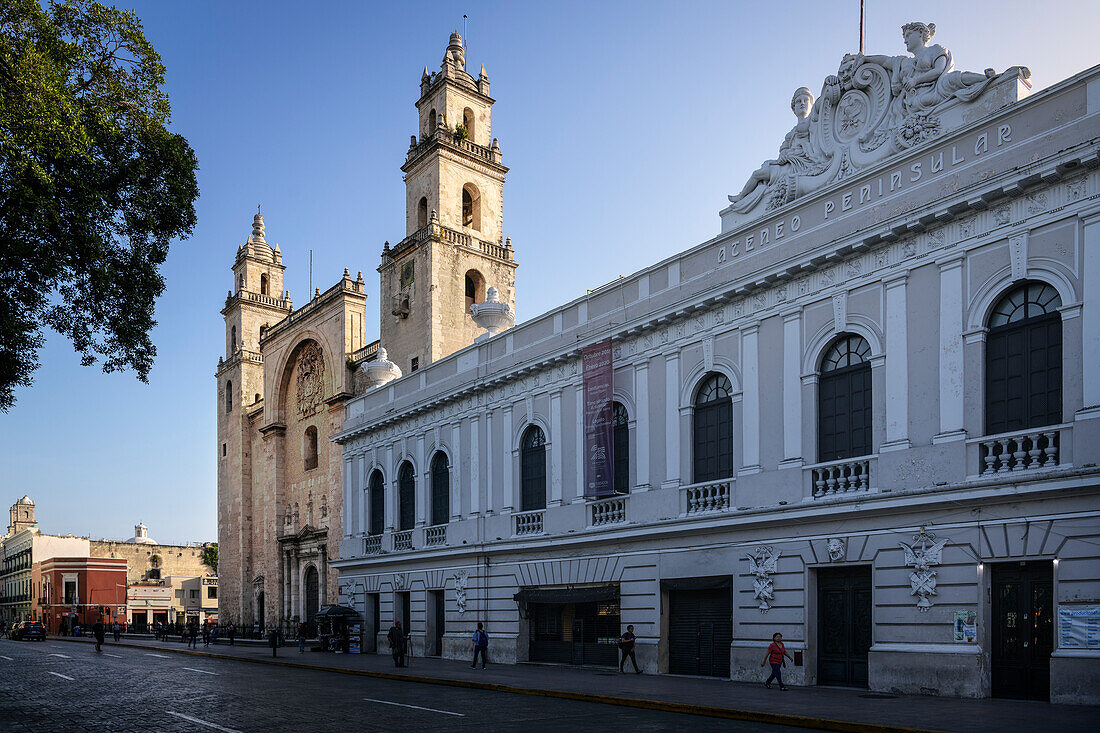 Kunstmuseum 'Museo de Arte Contemporáneo' und die Kathedrale 'Cathedral de San Ildefonso', Mérida, Hauptstadt Yucatán, Mexiko, Nordamerika, Lateinamerika, Amerika