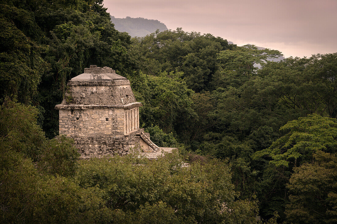 Tempel der Roten Königin (Templo de la Reina Roja), archäologische Zone von Palenque, Maya Metropole, Chiapas, Mexiko, Lateinamerika, Nordamerika, Amerika