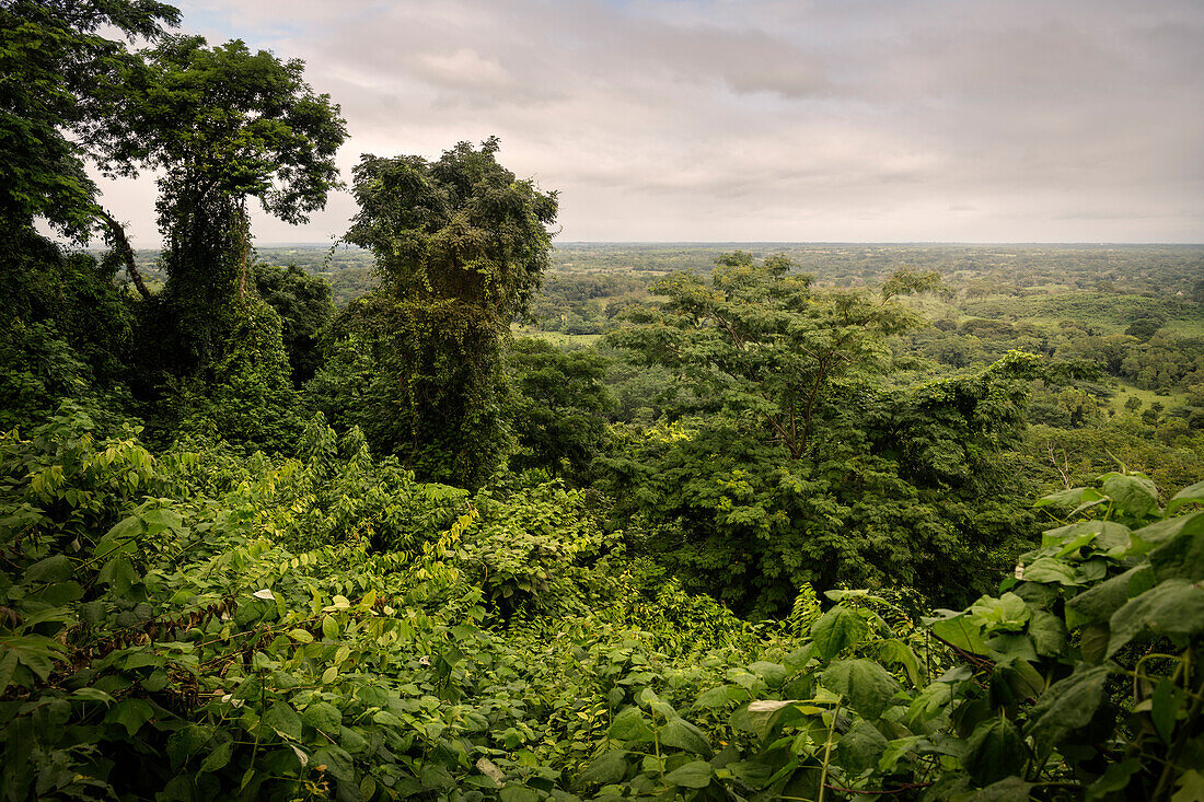 Blick von den Ruinen der 'Grupo Norte' auf den Dschungel der archäologischen Zone von Palenque, Maya Metropole, Chiapas, Mexiko, Lateinamerika, Nordamerika, Amerika