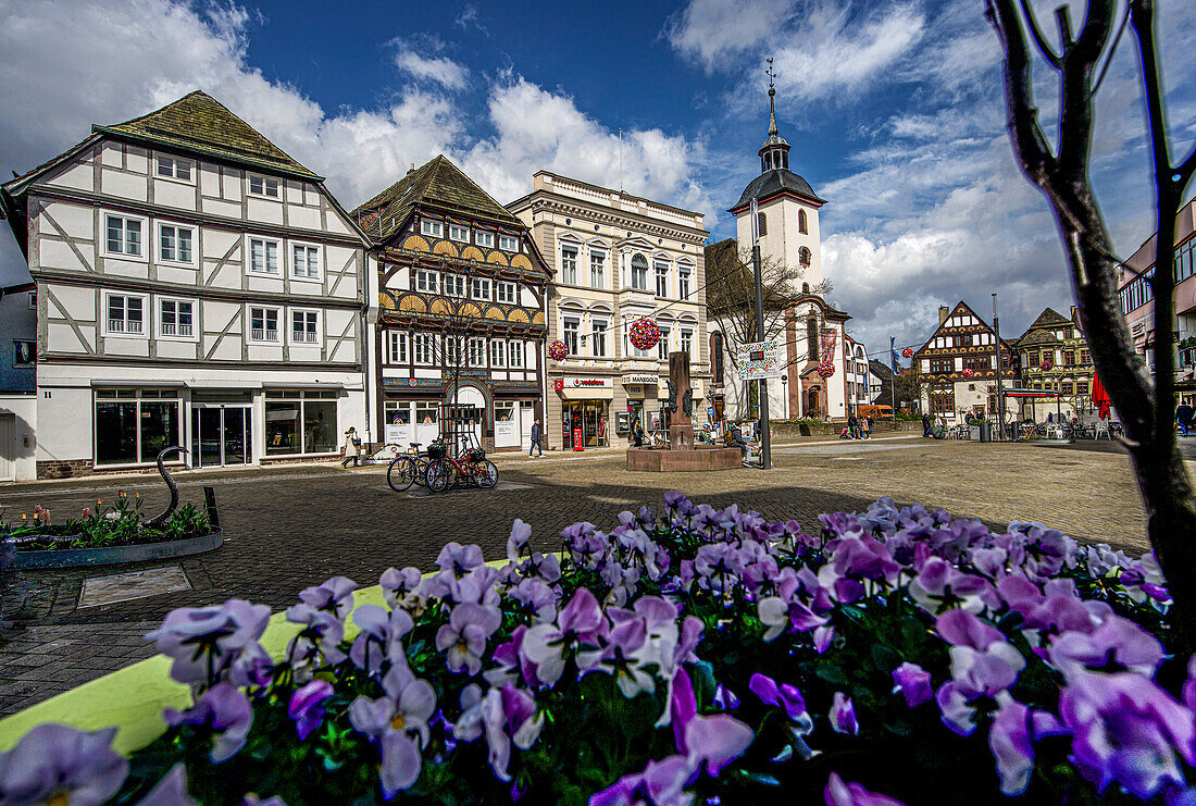 Blumenarrangements, Fachwerkhäuser und die Kirche St. Nikolai am Marktplatz, Höxter, Weserbergland, Nordrhein-Westfalen, Deutschland