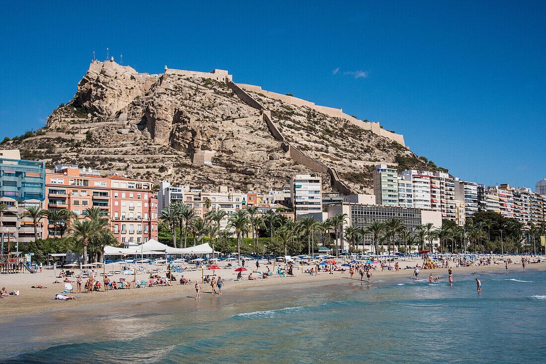 Alicante, Burg Santa Barbara, mit dem beliebten Badestrand unterhalb der Burg, Costa Blanca, Spanien