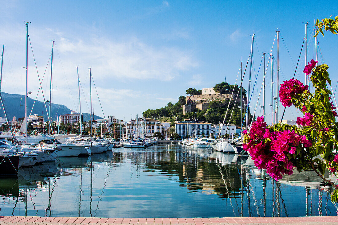 Denia, mit Hafen, Burg, im Frühjahr, Spanien