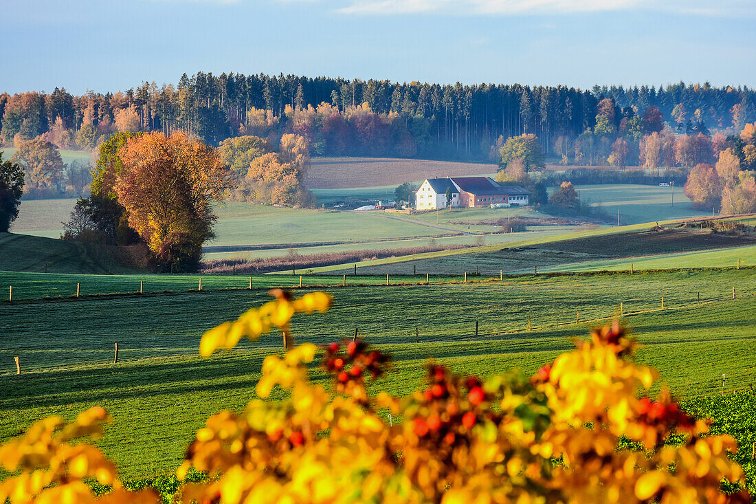 Augsburg Umland, im Herbst, romantische Straße, Bayern, Deutschland