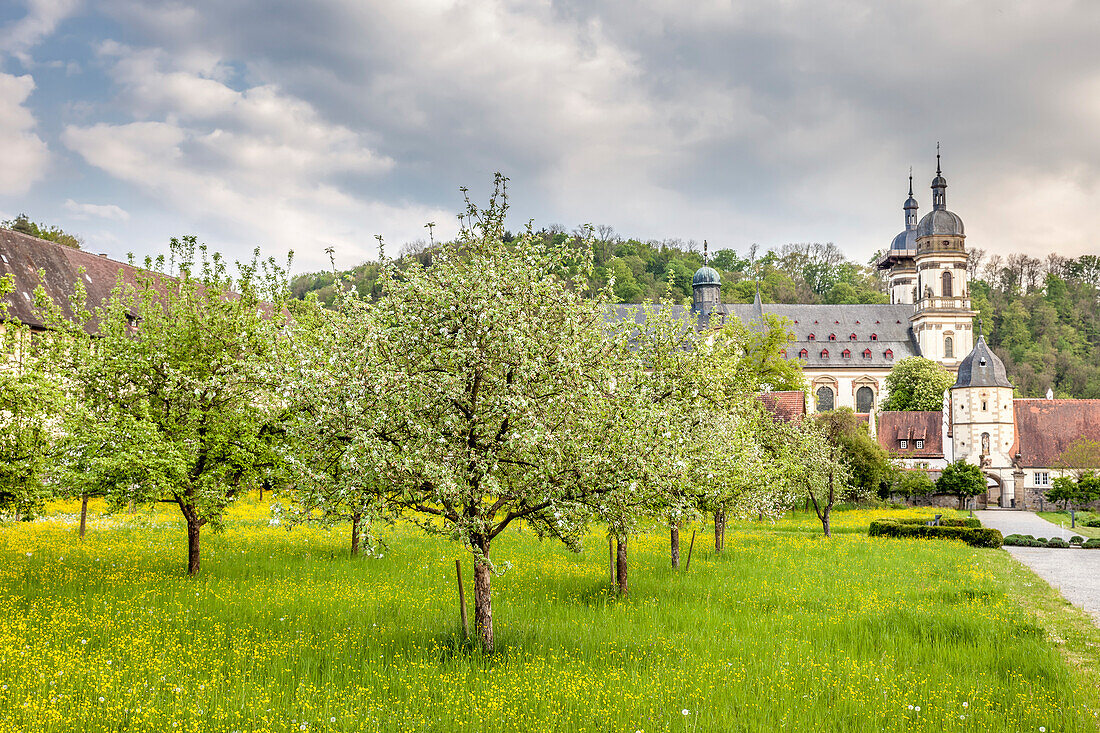 Orchards of Schöntal Monastery, Baden-Württemberg, Germany