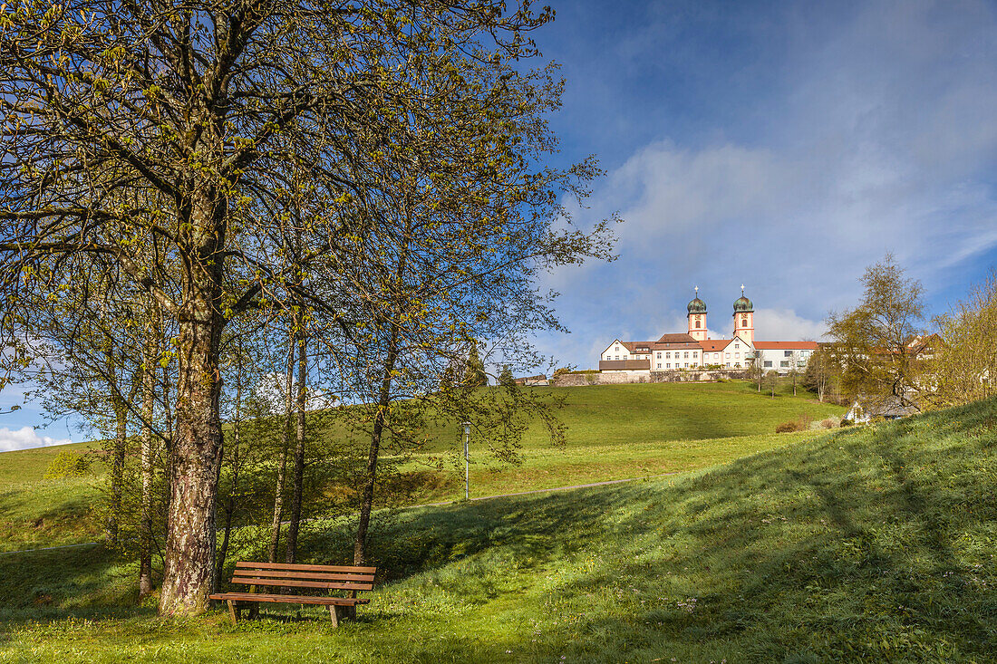 Blick auf Kloster St. Märgen vom Herrenmattenweiher, Schwarzwald, Baden-Württemberg, Deutschland