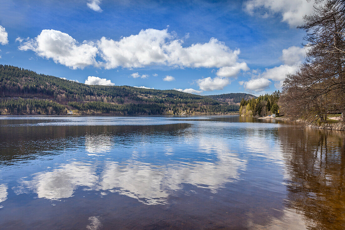 Titsee in early spring, Black Forest, Baden-Württemberg, Germany