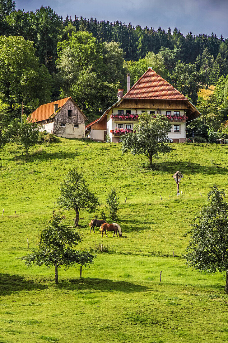 Großer alter Schwarzwaldhof im Dietental bei Mühlenbach, Schwarzwald, Baden-Württemberg, Deutschland