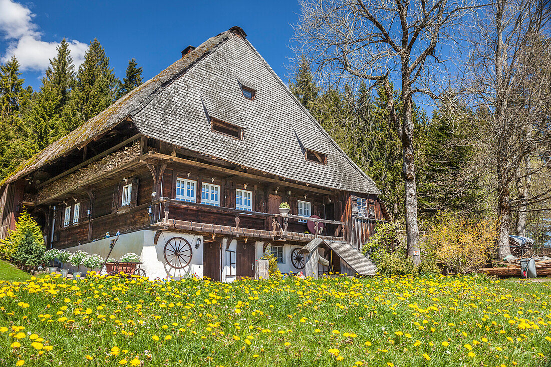 Historischer Schwarzwaldhof im Glottertal bei St. Märgen, Schwarzwald, Baden-Württemberg, Deutschland