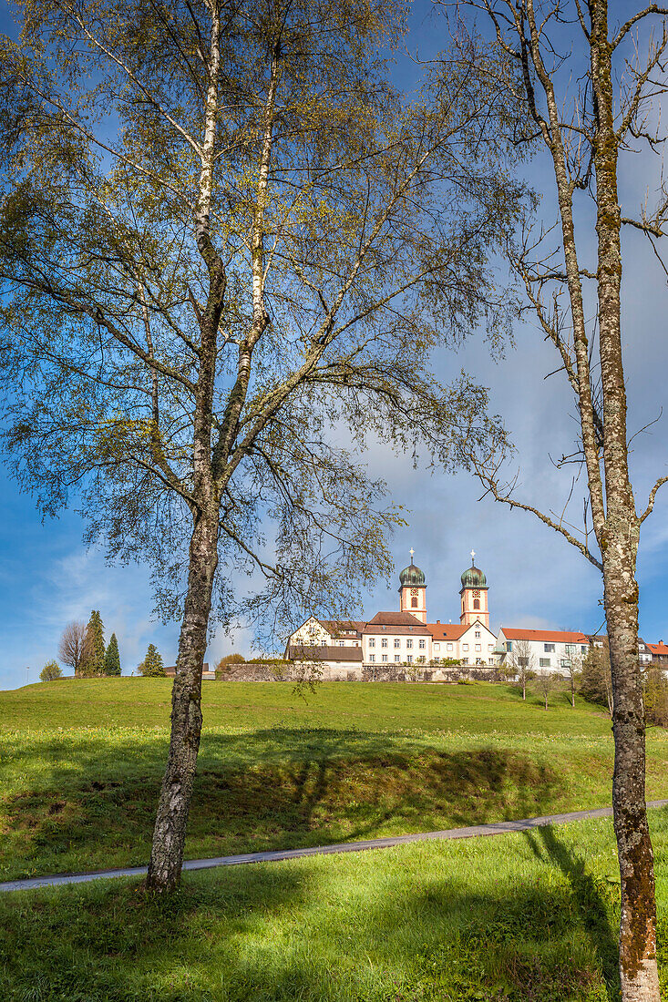 View of St. Märgen Monastery from Herrenmattenweiher, Black Forest, Baden-Württemberg, Germany