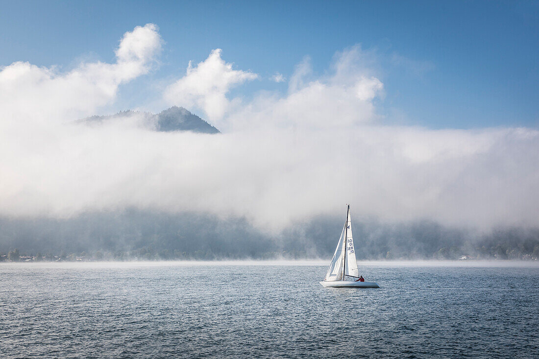 Sailing boat in the morning fog on the Tegernsee near Tegernsee, Upper Bavaria, Bavaria, Germany