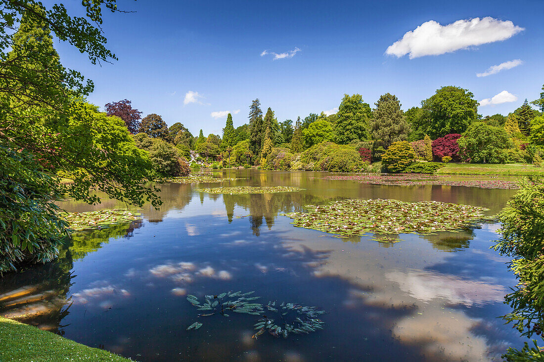 Idyllischer Teich, Sheffield Park Garden, East Sussex, England