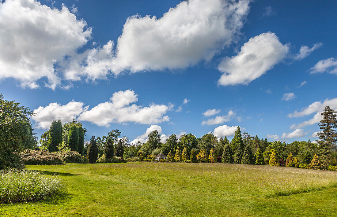 Nyman's Garden on Haywards Heath, West Sussex, England