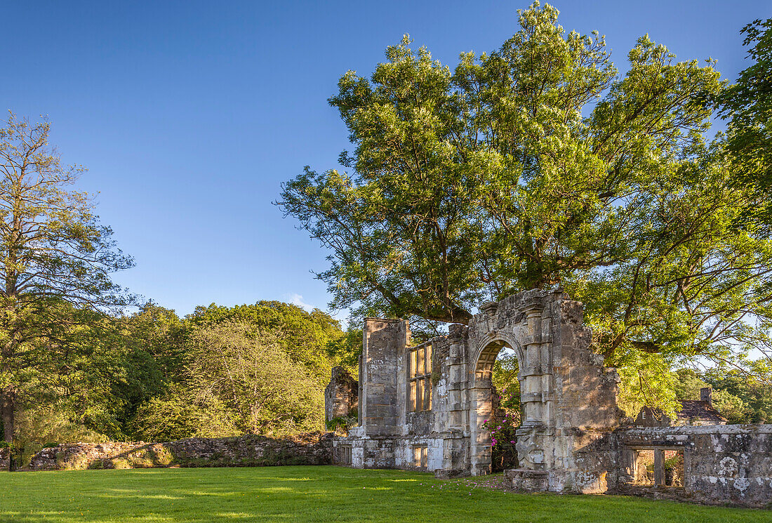 Slaugham Abbey ruins, West Sussex, England