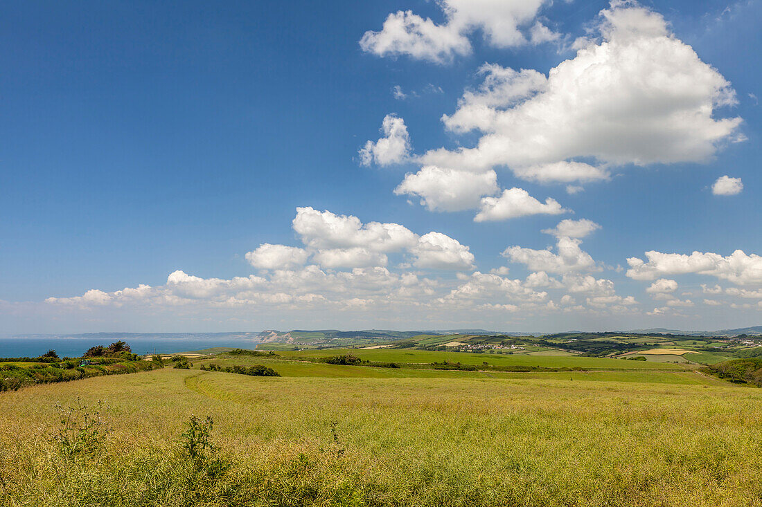 Küstenlandschaft bei Lyme Regis, Dorset, England