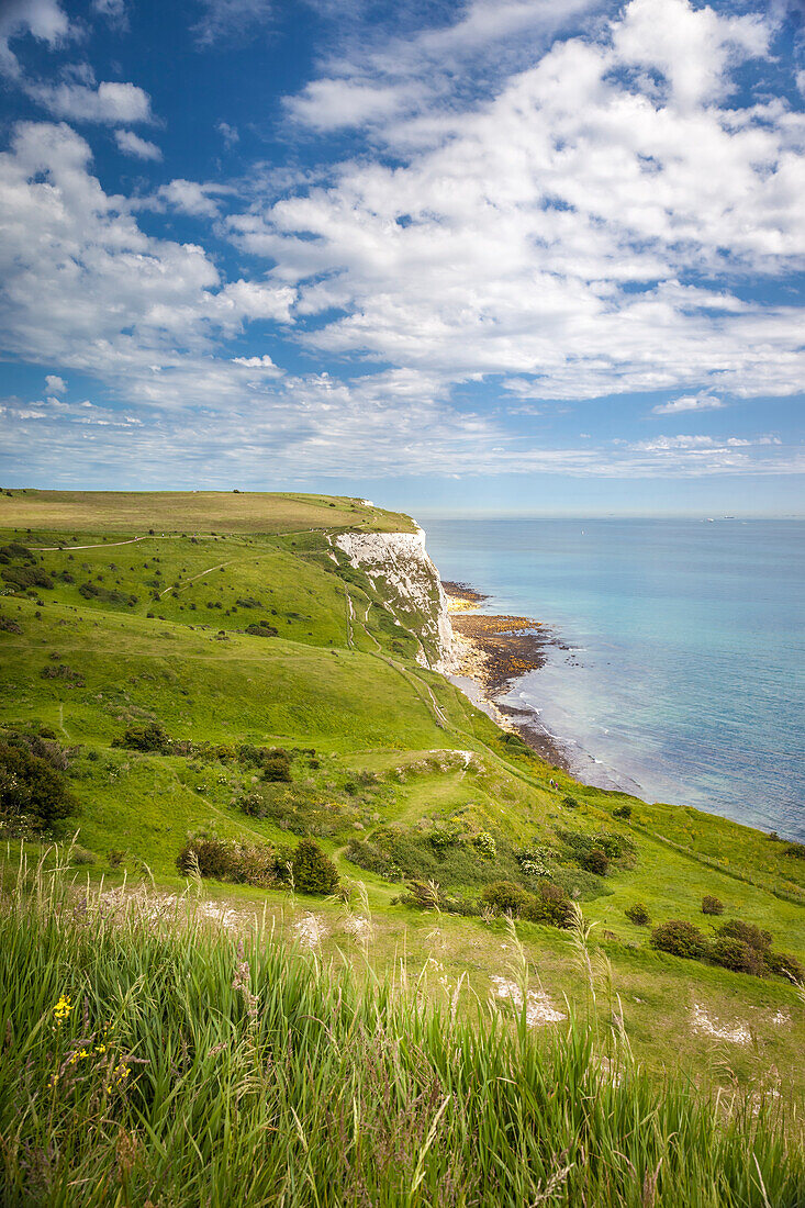 Kreidefelsen White Cliffs of Dover, Kent, England