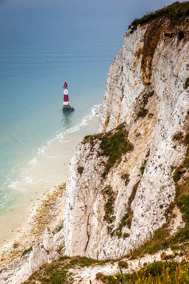 Beachy Head Lighthouse an den Kreidefelsen, East Sussex, England