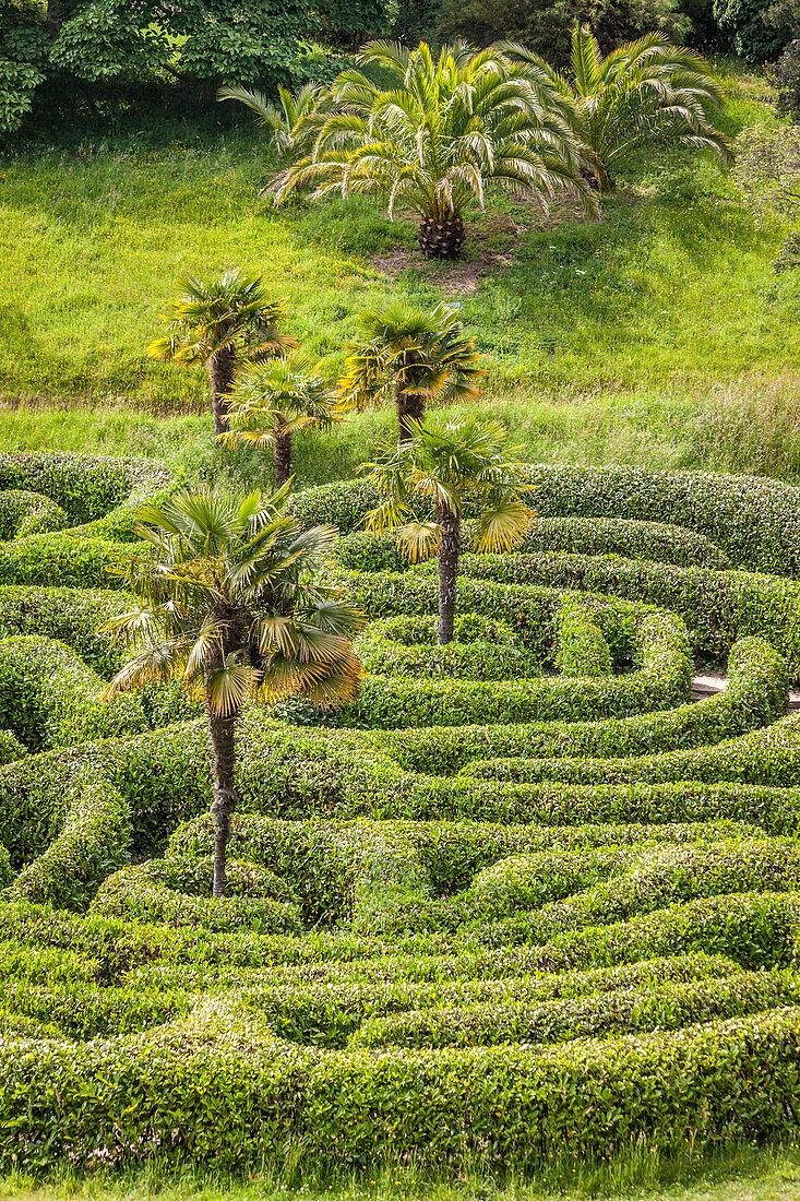 Labyrinth in Glendurgan Garden, Falmouth, Cornwall, England