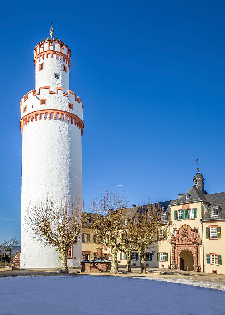 Weißer Tum in the courtyard of the castle of Bad Homburg vor der Höhe, Taunus, Hesse, Germany