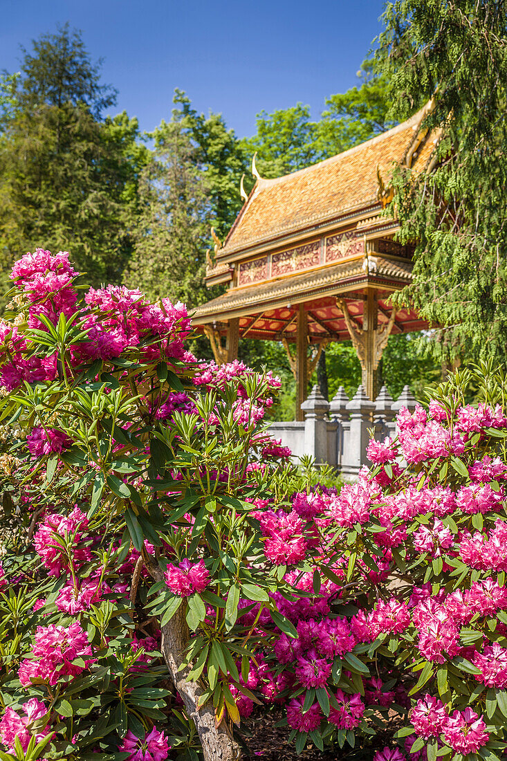 Siamesischer Tempel Thai-Sala im Kurpark von Bad Homburg vor der Höhe, Taunus, Hessen, Deutschland