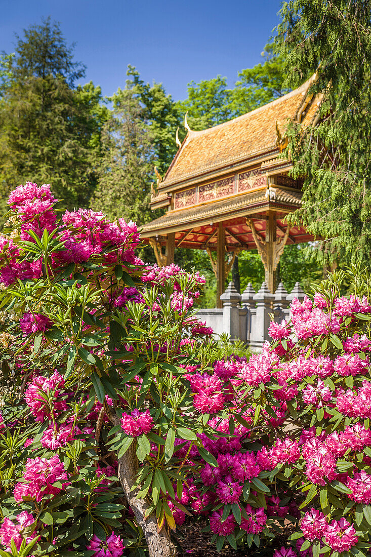 Thai-Sala Thai temple in the spa gardens of Bad Homburg vor der Höhe, Taunus, Hesse, Germany