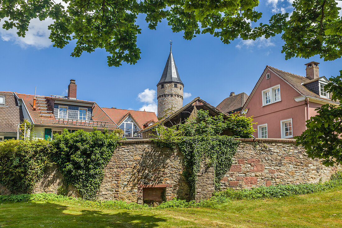 Witch Tower from the Castle Park of Bad Homburg vor der Höhe, Taunus, Hesse, Germany