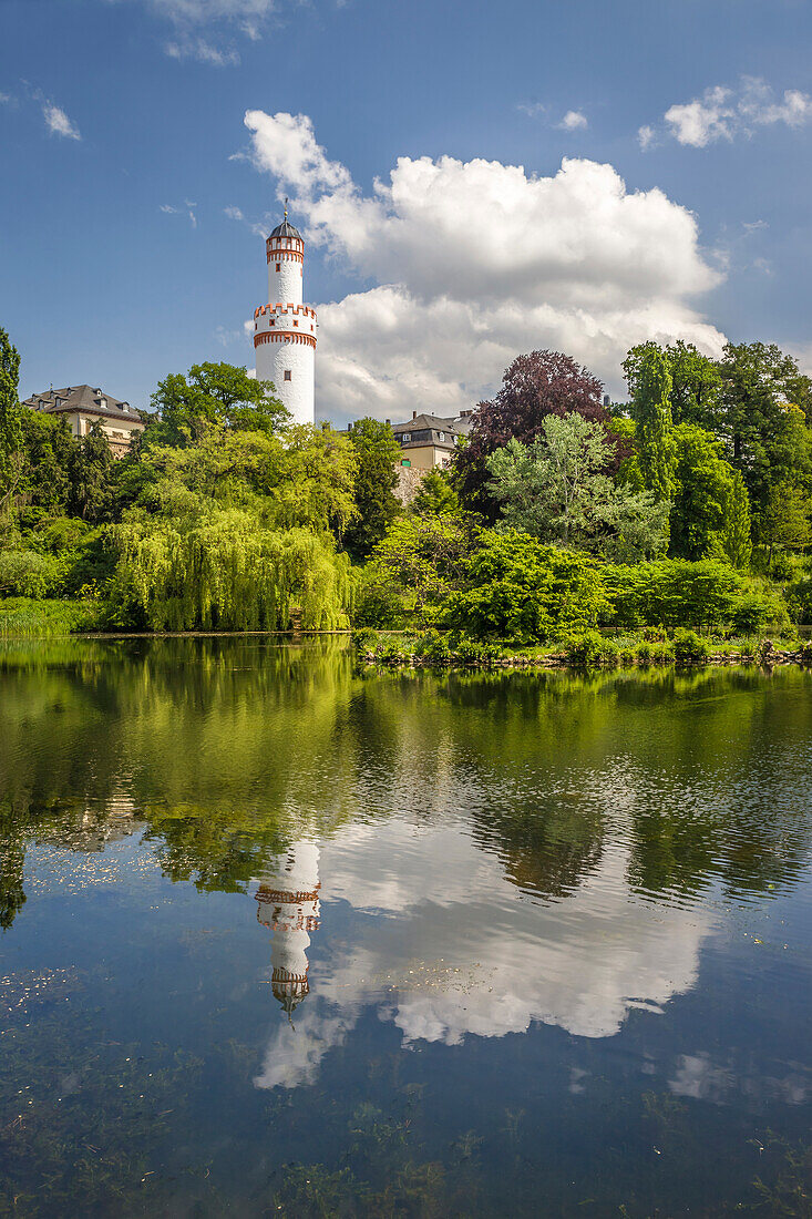 Weiher im Schlosspark von Bad Homburg vor der Höhe mit Weißem Turm, Taunus, Hessen, Deutschland