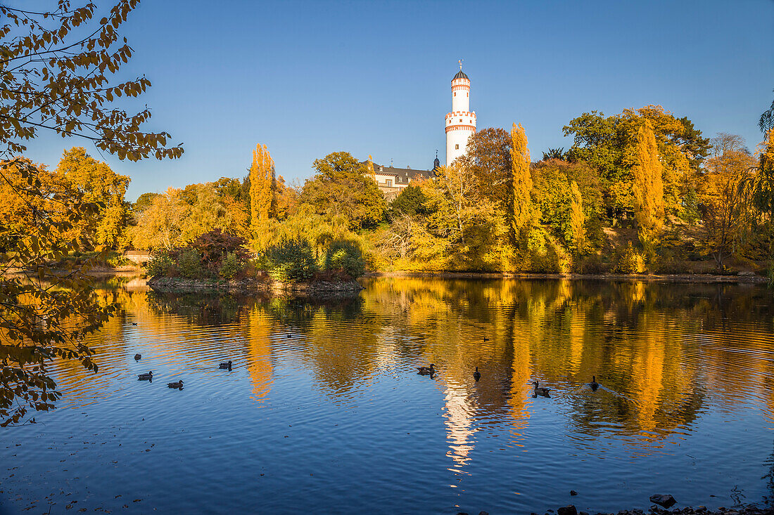 Weiher im Schlosspark von Bad Homburg vor der Höhe mit weißem Turm, Taunus, Hessen, Deutschland