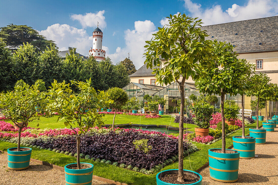 Garden of the Orangery, in the background the Landgrave's Castle with the white tower in Bad Homburg, Taunus, Hesse, Germany