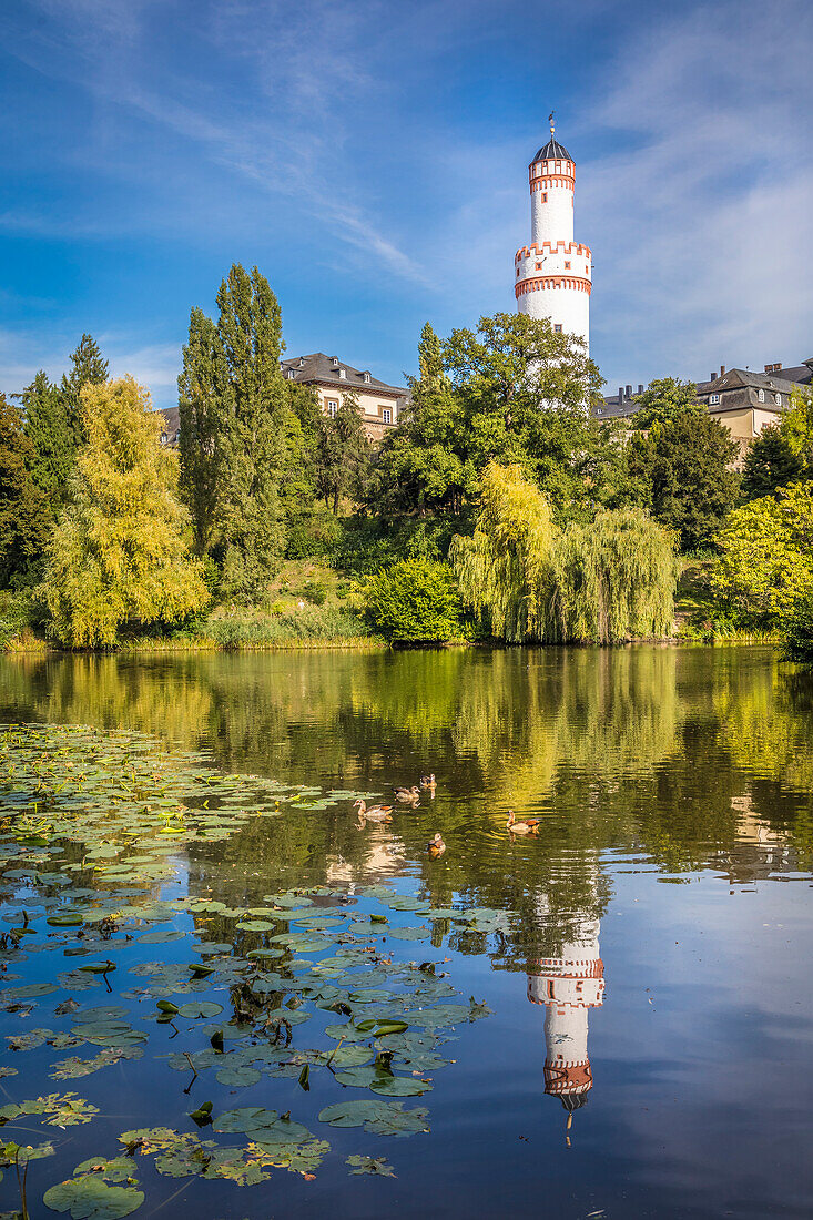 Pond in the castle park of Bad Homburg in front of the height with the white tower, Taunus, Hesse, Germany