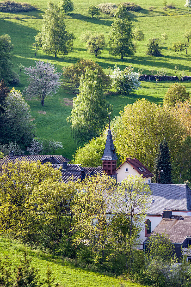 Frühlingsbäume im Taunus mit Engenhahner Kirche, Niedernhausen, Hessen, Deutschland
