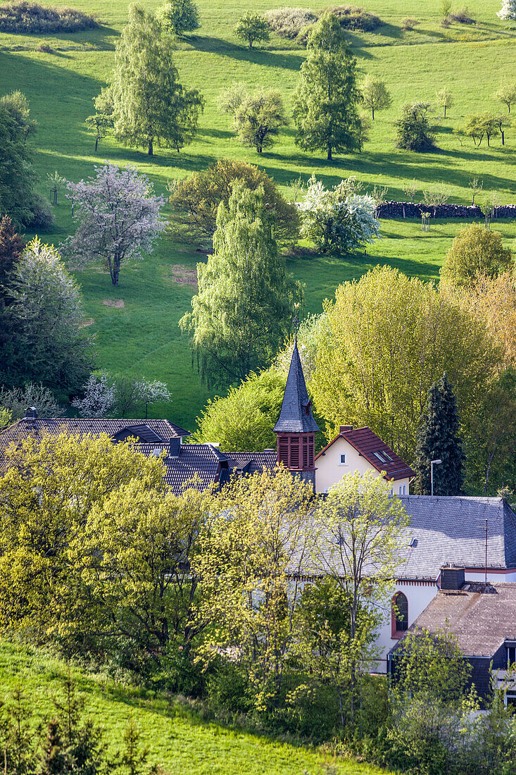 Spring trees in the Taunus with Engenhahn Church, Niedernhausen, Hesse, Germany