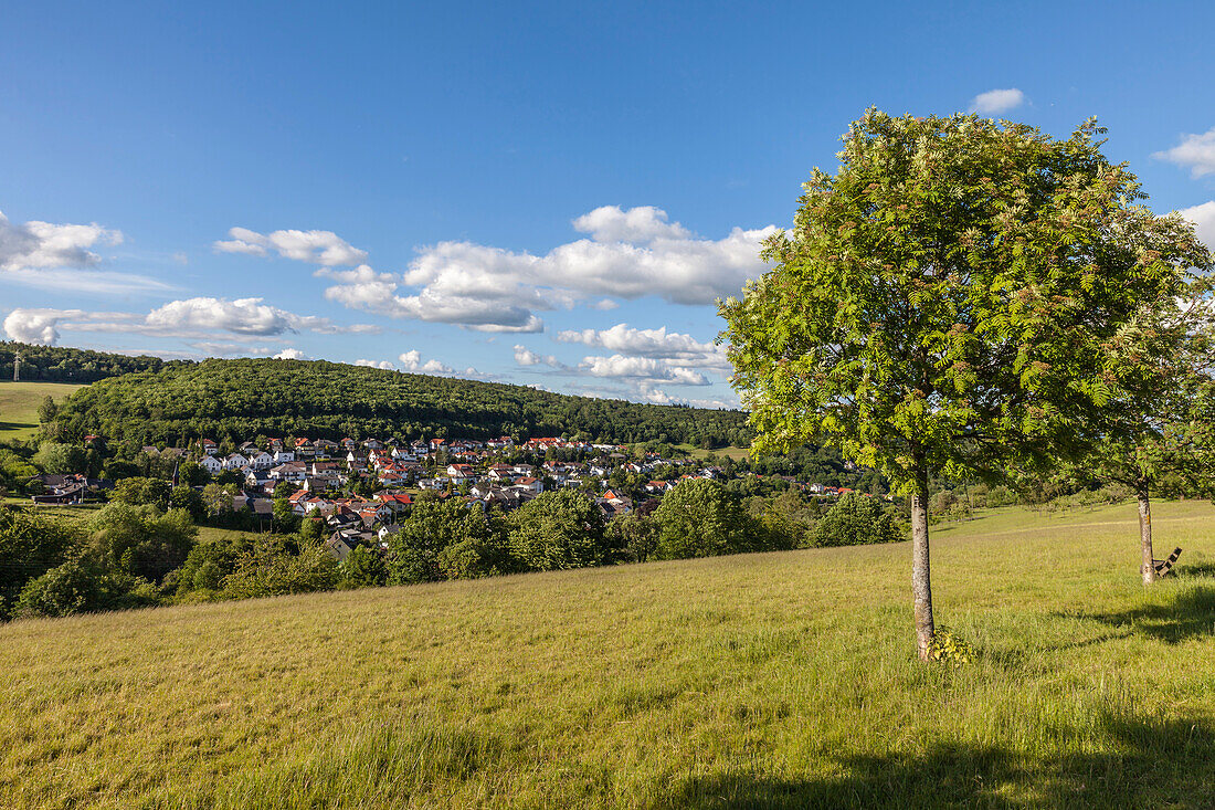 View of Engenhahn in the Taunus, Niedernhausen, Hesse, Germany