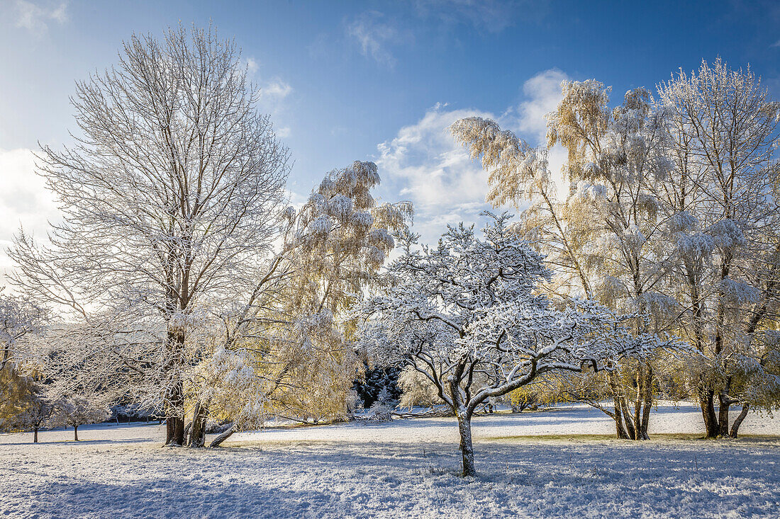 Später Schnee im April im Naturpark Rheingau-Taunus oberhalb von Engenhahn, Niedernhausen, Hessen, Deutschland