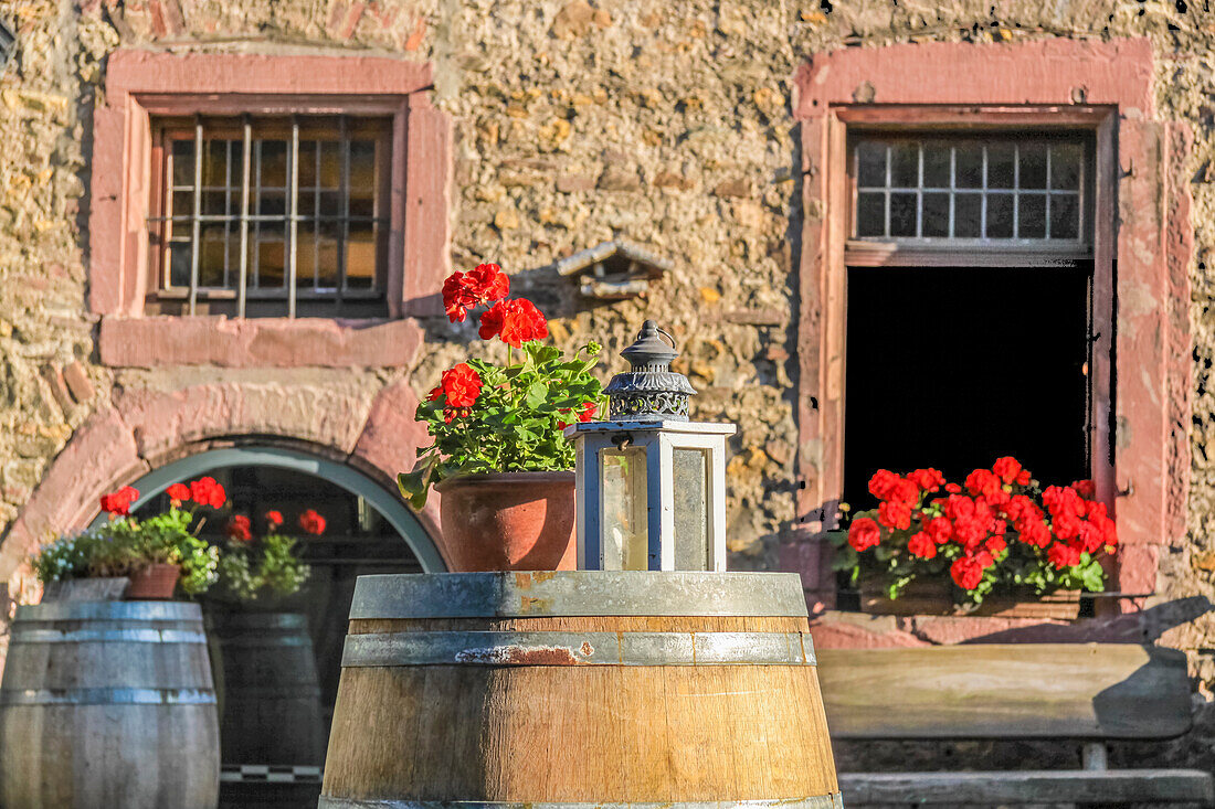 Großes Holzfass auf dem Weingut Kögler in Eltville, Rheingau, Hessen, Deutschland