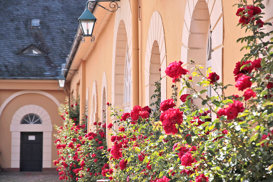 Courtyard of Johannisberg Castle, Rheingau, Hesse, Germany