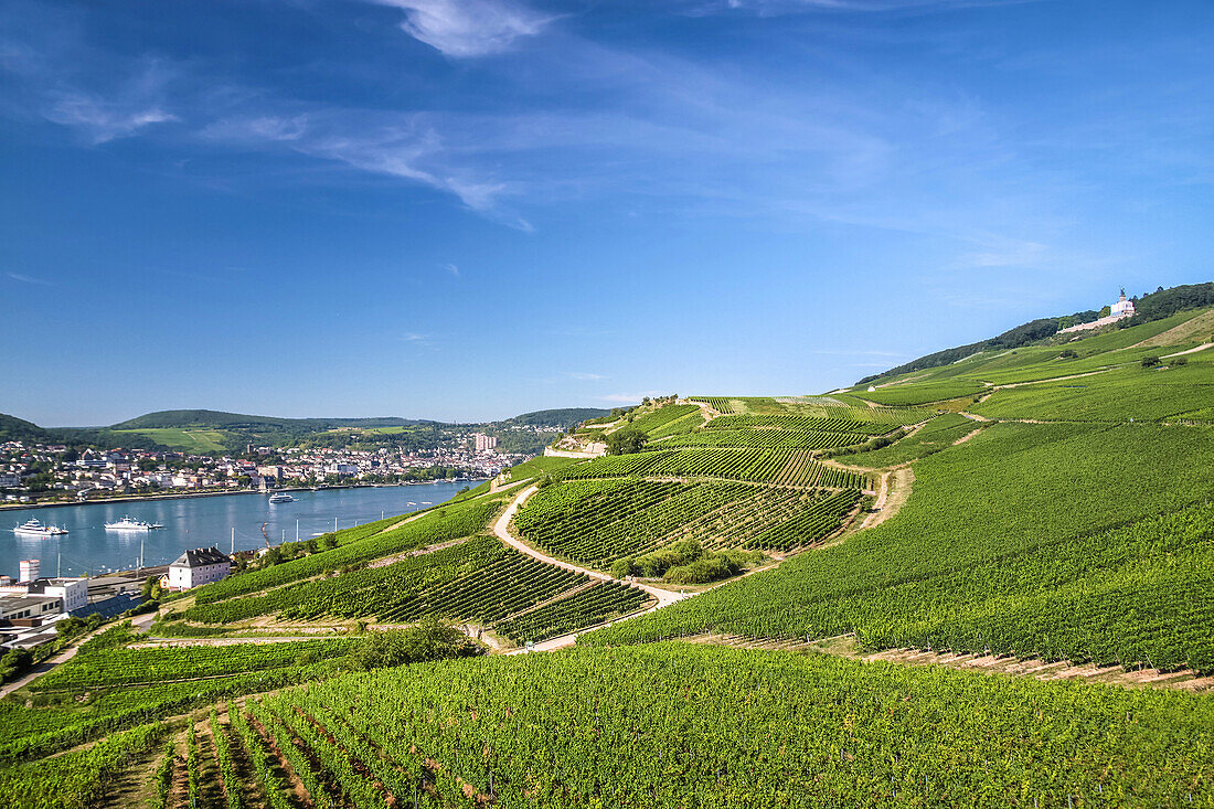 Rüdesheim im Rheingau, Rheingau, Hessen, Deutschland