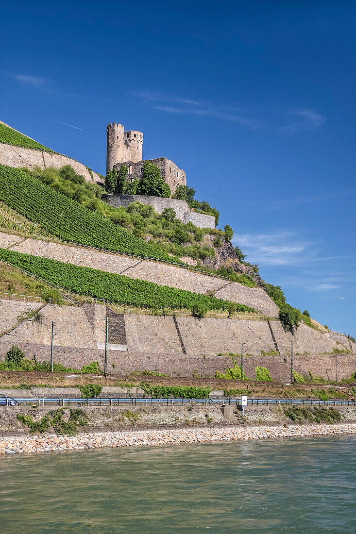 Ruine Ehrenfels bei Rüdesheim, Rheingau, Hessen, Deutschland