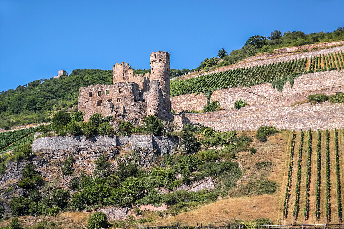 Ruine Ehrenfels bei Rüdesheim, Rheingau, Hessen, Deutschland